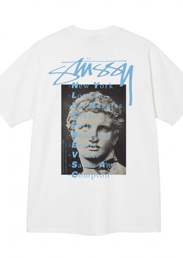 STUSSY STATUE PIG DYED TEE